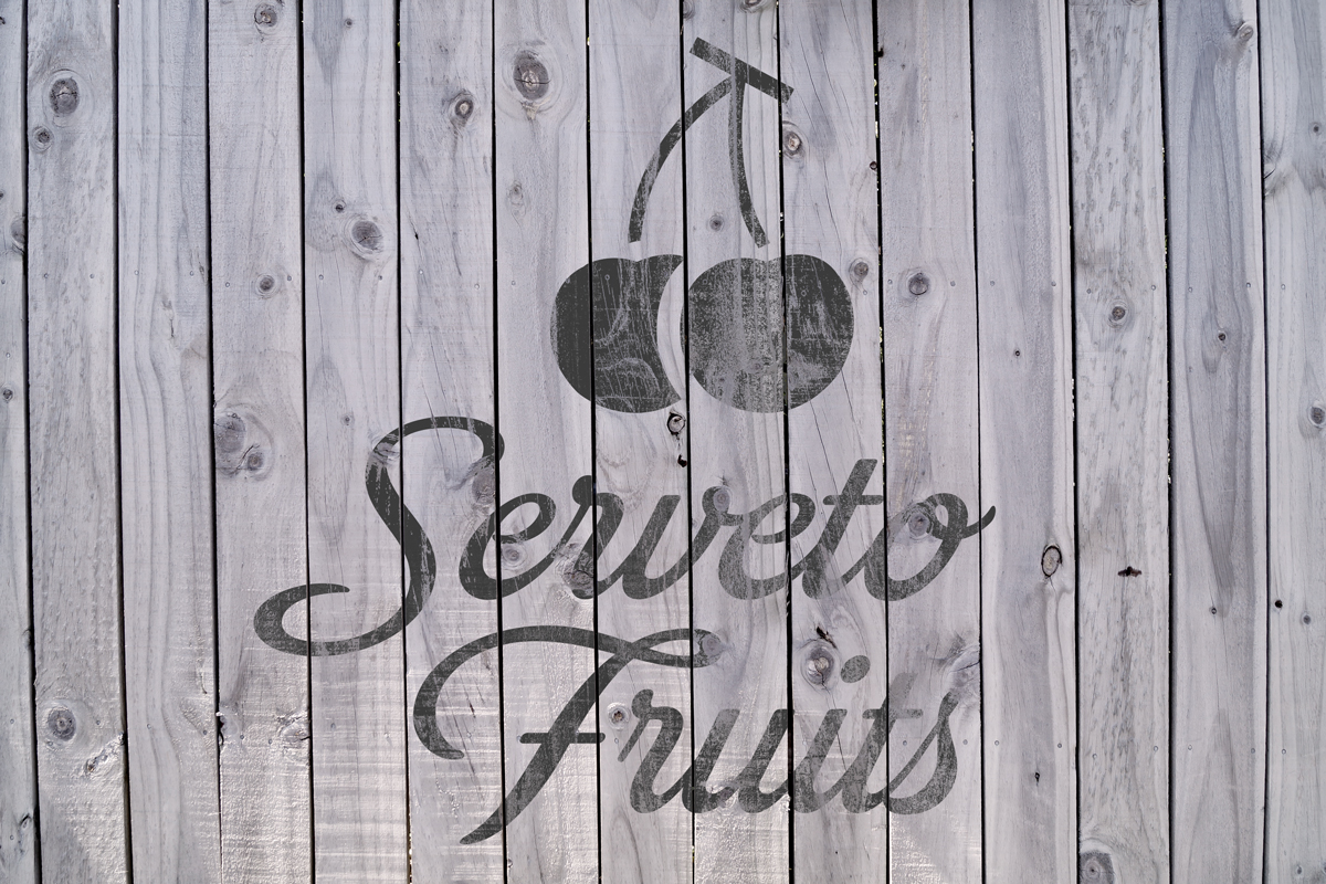 Diseño de identidad corporativa de una empresa dedicada a la venta y distribución de fruta.